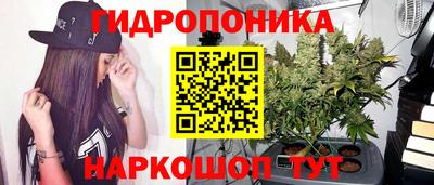 ПСИЛОЦИБИНОВЫЕ ГРИБЫ Гатчина